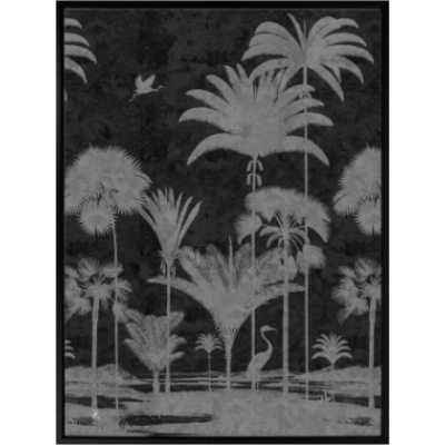 Shadow Palms Black and White