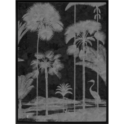 Shadow Palms Black and White II