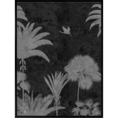 Shadow Palms Black and White III