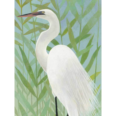Water Bird II Canvas Art Print