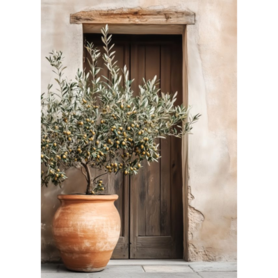 Avina in Mocha Frame